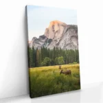 "Meadow Accord" – Image 2