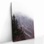 "Stone Fade" – Image 2