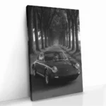"Treeline Porsche" – Image 2