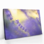 "Violet Frequency" – Image 2