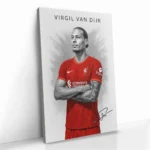 "Virgil van Dijk II" – Image 2