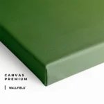 "Flarepoint" – Image 4