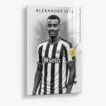 Alexander Isak – Verre