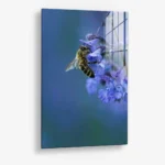 Blue Range Work – Verre