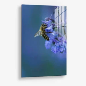 Blue Range Work – Verre