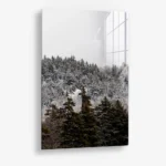Branchmark – Verre