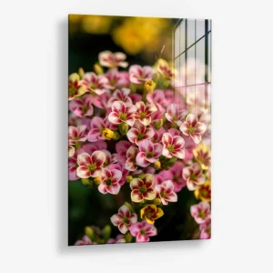 Crimson Ratio – Verre