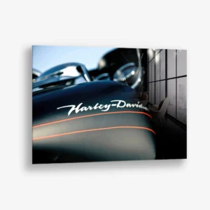 Ember Ride – Verre