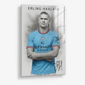 Erling Haaland – Verre