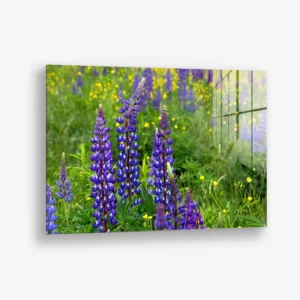 Field Cipher – Verre