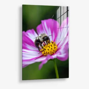 Flarepoint – Verre