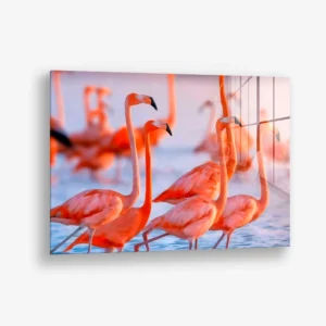 Lakeside Chorus – Verre