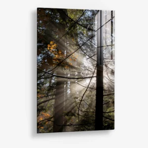 Line of Light – Verre