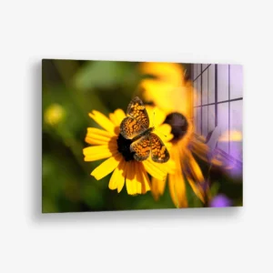 Petal Circuit – Verre