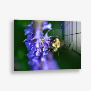 Purple Run – Verre