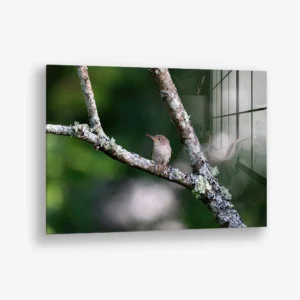 Quiet Operation – Verre