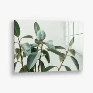 Soft Structure – Verre