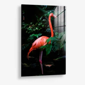 Still in Scarlet – Verre