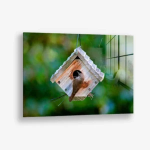 Timberwatch – Verre