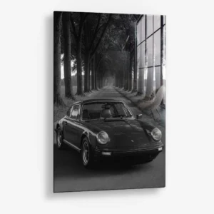 Treeline Porsche – Verre