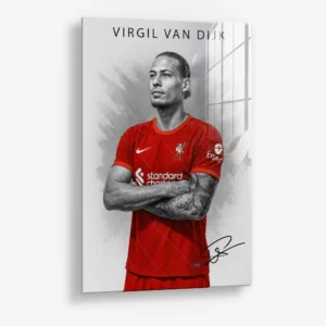 Virgil van Dijk II – Verre