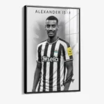 Alexander Isak – Verre – Image 2