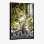 Anchorlight – Verre – Image 2