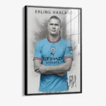 Erling Haaland – Verre – Image 2
