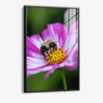 Flarepoint – Verre – Image 2