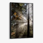 Line of Light – Verre – Image 2