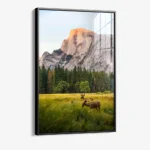 Meadow Accord – Verre – Image 2