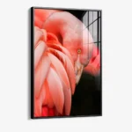Side Veil – Verre – Image 2