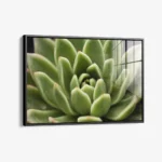 Thorn Array – Verre – Image 2