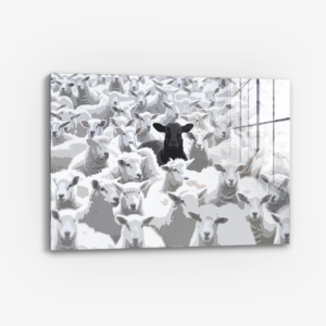 The Black Sheep - Verre