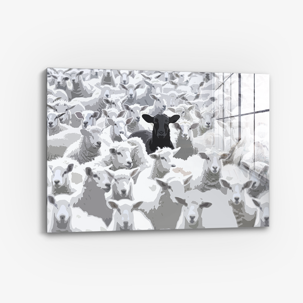 The Black Sheep - Verre