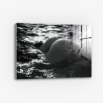 The Shiny Object - Verre