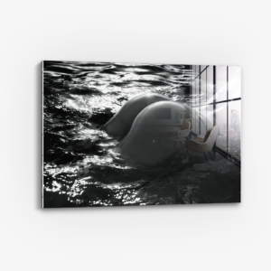 The Shiny Object - Verre