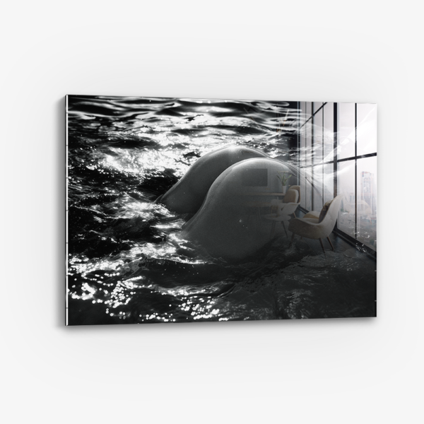 The Shiny Object - Verre