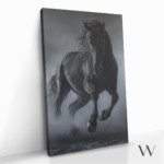 "Black Horse" gallery 1