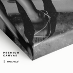 "California Porche" gallery 3