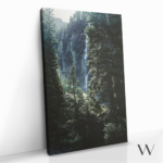 "Whispering Woods" gallery 1