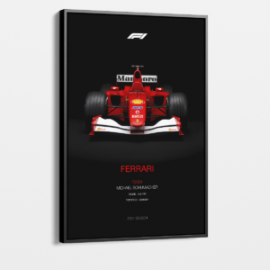 "Michael Schumacher"