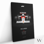 "Ayrton Senna" gallery 1