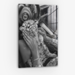 Fast & Furry - Verre