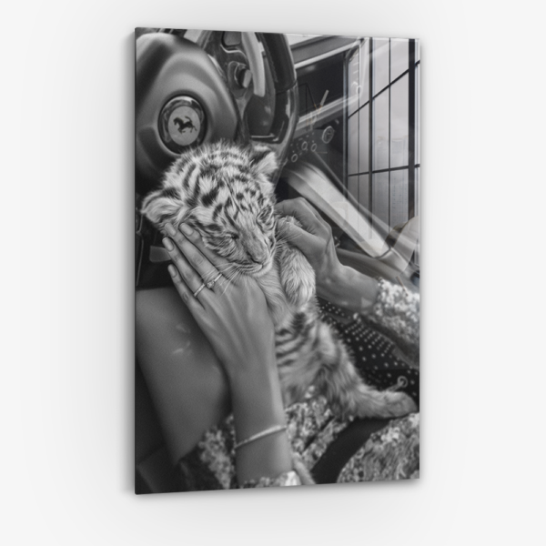 Fast & Furry - Verre