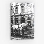 French Horses II - Verre