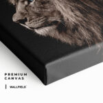 "Lion Family IV" – Image 6