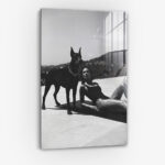 The Pool Guard II - Verre