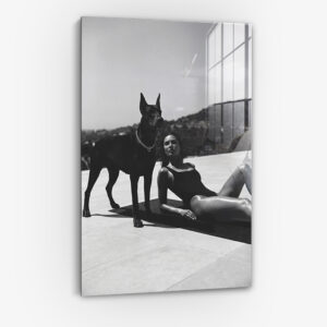 The Pool Guard II - Verre